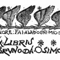 bruno_opera_9